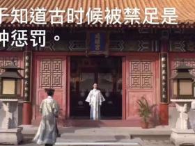 “这个长假,我终于体会到狗的心情了……”