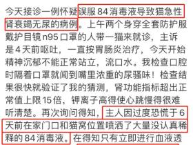 “家里用了84消毒液,没想到却害了我的猫…”