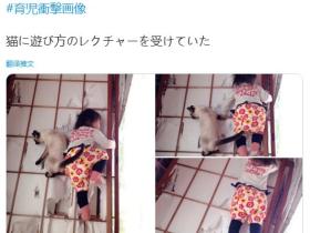 “和猫一起长大的孩子,都特、别、熊!”
