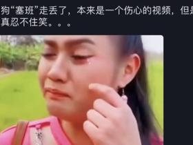 塞班是谁,火爆全网的“找塞班”到底是什么意思