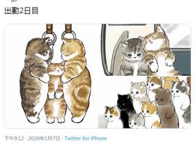 日推爆火的4W赞“猫片”神奇在哪里?