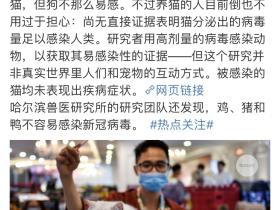 研究团队亲自辟谣:“14.7%的猫感染新冠病毒”是误导!