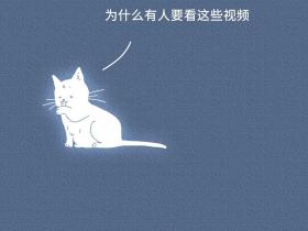 “虐待我们会有快感吗?”一只猫的自述刷爆朋友圈,看完泪崩…