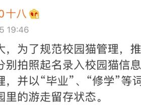 北大的猫太有爱了!我后悔当初选清华了…