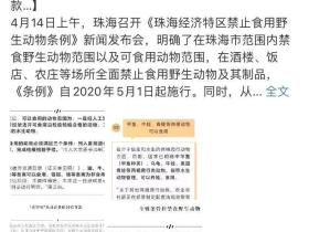 继深圳之后,珠海也正式立法禁食猫狗!