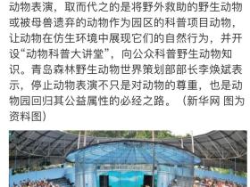 青岛森林野生动物世界宣布:永久停止动物表演