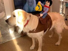 给老公修胡子时,狗子一头撞了过来