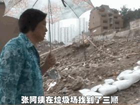 韩国一段狗狗走丢后又和主人重逢的视频,在网上疯传