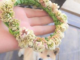 文艺青年真的不能养狗!