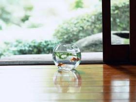 遇事,从自己身上找原因