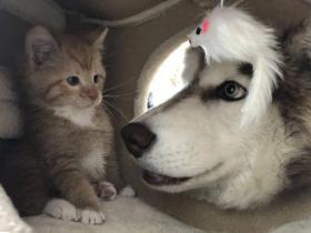 相聚时光,总是那么的欢乐