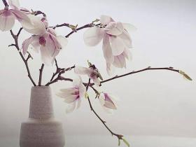 活到极致,是素心