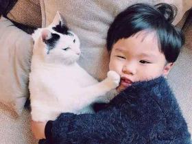 我叫太一,除了父母,这个世界上对我最重要的,是一只猫