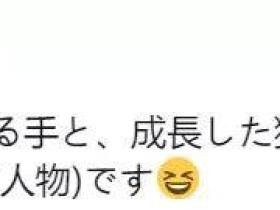 陪一只猫长大,是我做过最快乐的事!