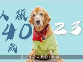 三只狗全部超过20岁!铲屎官公布了自己的养狗秘籍