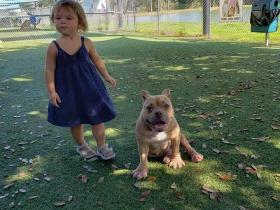 在被安乐死的前一秒,2岁萝莉说了一句话,彻底改变了她的命运