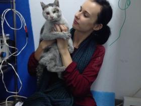 猫咪失去了一只眼睛 命运却发生了质的转变