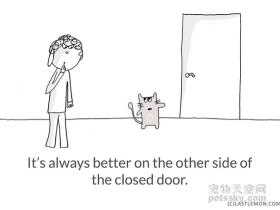 用漫画的方式表达 铲屎官从猫咪身上学到的22个道理