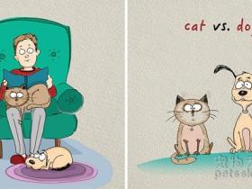 网友用插画来表达 养猫和养狗的6个不同之处
