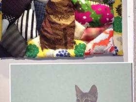 网友们大展才艺给自家猫咪画肖像 各种画风让人凌乱