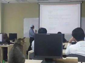 猫咪在大学的课堂上旁听老师讲课 学霸的心最终被学渣的身体打败