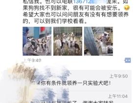 宁愿相信这家救助站的真实性 希望不要再发虚假的动物领养信息