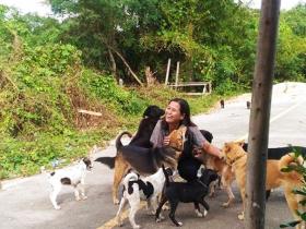 有人在天津收养200多只流浪狗，还为它们做绝育，你怎么看？