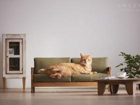专门为猫咪制作的家具