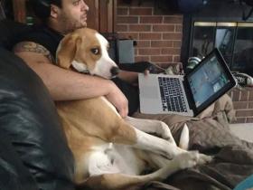 养了宠物后,仿佛自己多了一个“情敌”