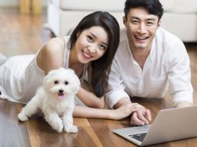 让狗感到幸福的7件事情,你都知道吗?