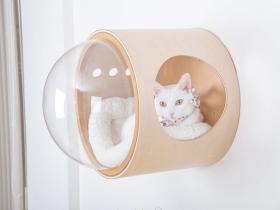 喵星人版的“太空舱”，国外设计师专门为猫咪做的产品