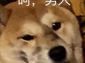 “你一公狗,长那么多奶子干嘛?”