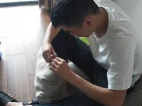 养狗之后,才发现,自己多了很多生活技能