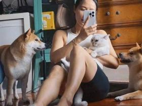 柴犬半夜过敏肿成猪头，去医院比主人都着