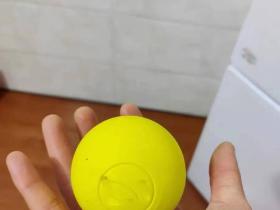 狗狗把空瓶子送给拾荒老人,老人回赠给它一个玩具