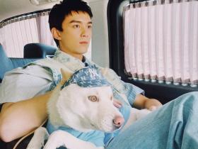 吴磊抱狗姿势冲上热搜,网友:别人是抱狗,他是抱娃