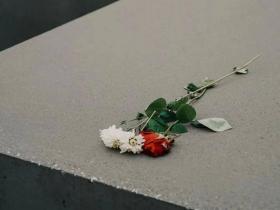 挪威独居老人死后近10年被发现,养老金停止发放但账单继续扣费