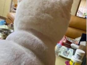 背影照萌翻全网,看到正脸后…网友笑了