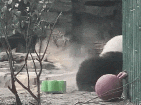 萌兰西直门三太子是什么梗?