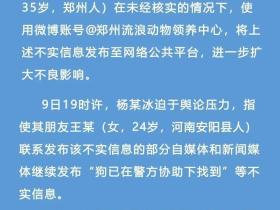 悬赏千万寻狗?警方通报:杨某冰(22岁),行拘!