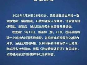 当红男网红录下虐猫视频后出售分享,虐猫手段残忍到不忍直视