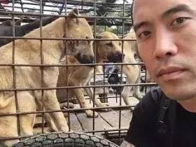 美国华裔专门跑来中国救狗,后被指出是个虐狗人士
