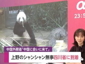“香香”回国日本人含泪不舍,日本民众究竟有多爱大熊猫?