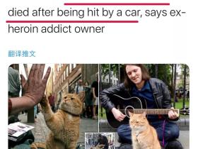 流浪猫鲍勃并非老死,而是死于车祸!