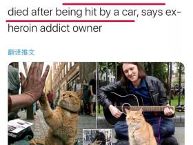 流浪猫鲍勃并非老死，而是死于车祸！