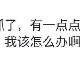 在国外被狗咬伤,医生却拒绝为我打狂犬疫苗