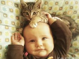 照片来告诉你 宝宝为什么需要猫咪的陪伴