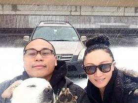 在狗狗生命的尽头 主人带着的它看遍世界