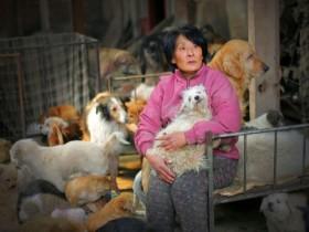 中国女人在玉林狗肉节的善举 感动世界