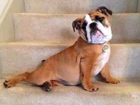 “主银,来吧!我已经摆好Pose了!”(组图)